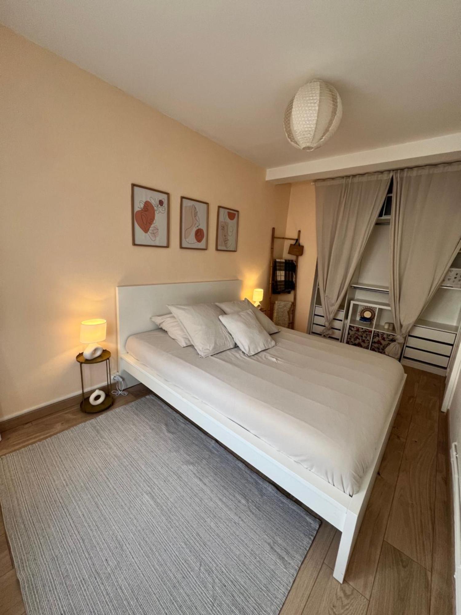 شقة Le Bellevue - T3 - Gare & Les Jardins Darcy - Parking Free ديجون المظهر الخارجي الصورة